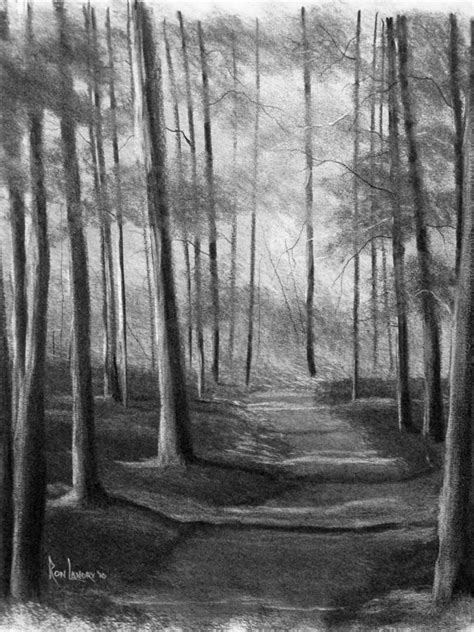 Path At Tall Timbers Drawing by Ron Landry