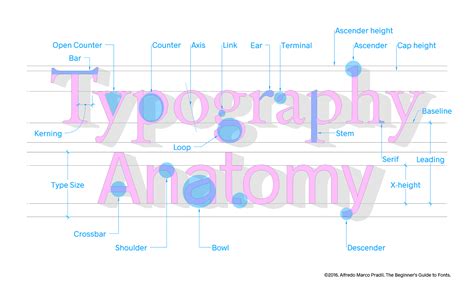 The Beginner’s Guide to Fonts: Typeface Anatomy