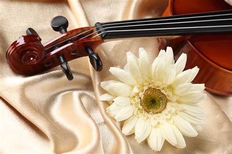 Violin Wallpapers - Wallpaper Cave