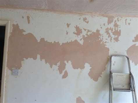 Painting over patchy paint/plaster | DIY Home Improvement Forum