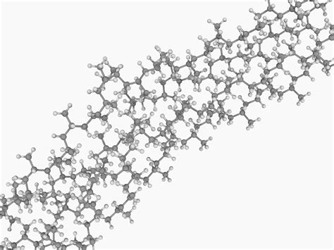 Macromolecule Definition and Examples