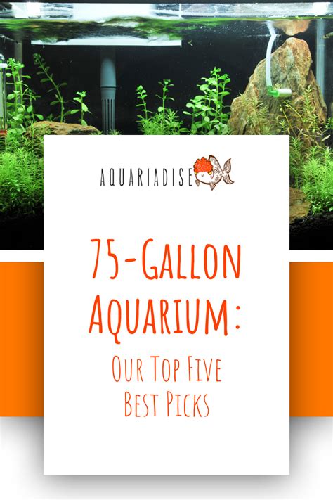 75-Gallon Aquarium: Our Top Five Best Picks