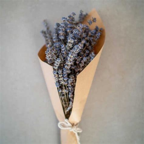 Dried Aromatic Lavender Bouquet - Purple Cloud Lavender