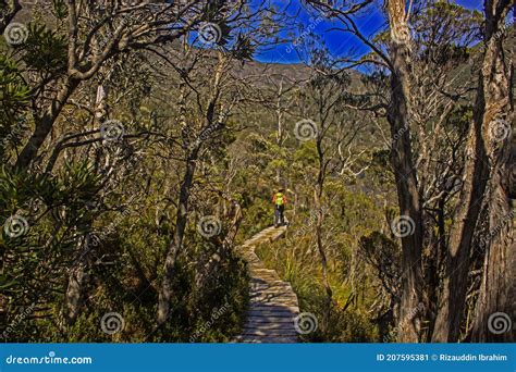 Plank Walkway of Dove Lake Circuit Walk in Cradle Mountain, Australia. Stock Image - Image of ...