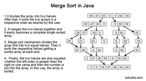 Merge Sort in Java | Working of Merge Sort Along with Example