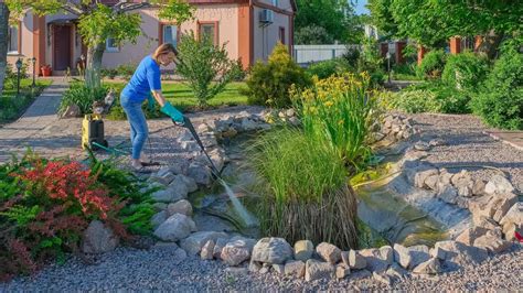 Top 10 Best Garden Pond Maintenance near you | Airtasker