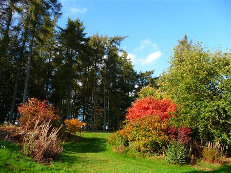 Arboretum, Castle Howard, North Yorkshire. | Arboretum, Cast… | Flickr