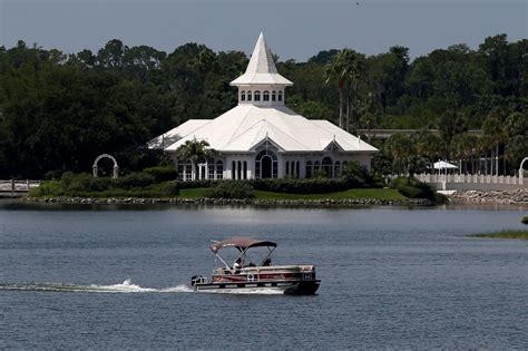 Alligator Attacks Are Rare, Despite Fatal Disney Incident - Newsweek