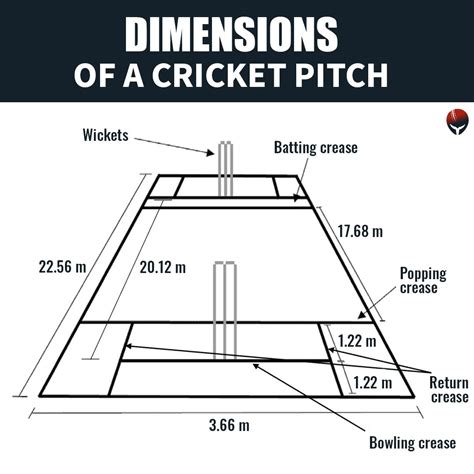 Cricket Pitch Dimensions