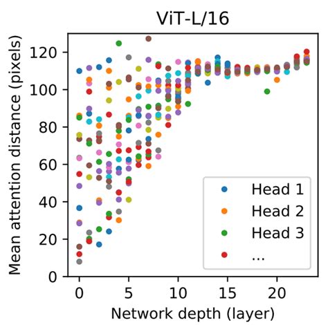 Understanding Vision Transformers (ViTs): Hidden properties, insights ...