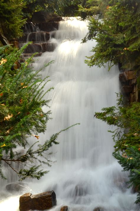 Waterfall-narrow aperture | Photography journey, Waterfall, Longwood gardens