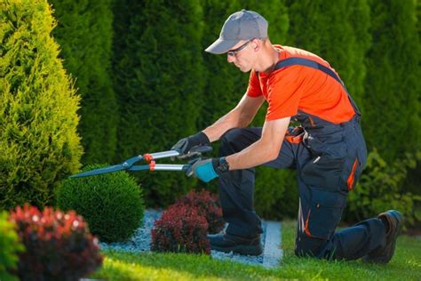 Curso de Instalación y Mantenimiento de Jardines y Zonas Verdes - Aulaed