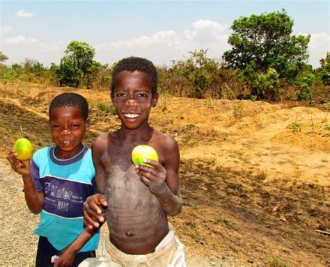 Understanding the Impact of Child Undernutrition in Malawi