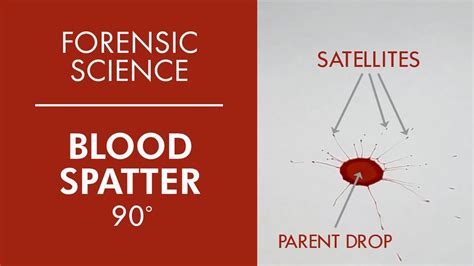 CSI - Forensic Blood Spatter Characteristics - Criminalistics - YouTube