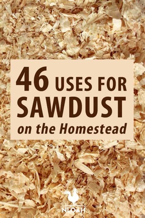 45 Uses for Sawdust on the Homestead • New Life On A Homestead