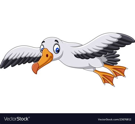 Cartoon albatross flying vector image on VectorStock | Animal drawings, Cartoon drawings ...