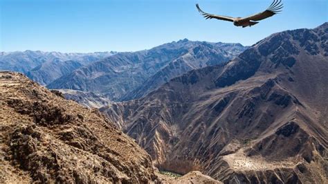 Exploring Peru’s epic Colca Canyon - BBC Travel