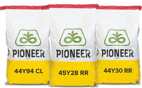 Canola Hybrids - Pioneer Seeds