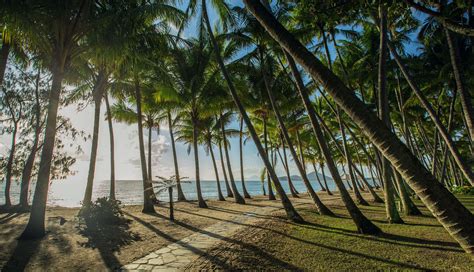 Palm Cove - Beach-side Glamor & Luxury | Tropical North QLD