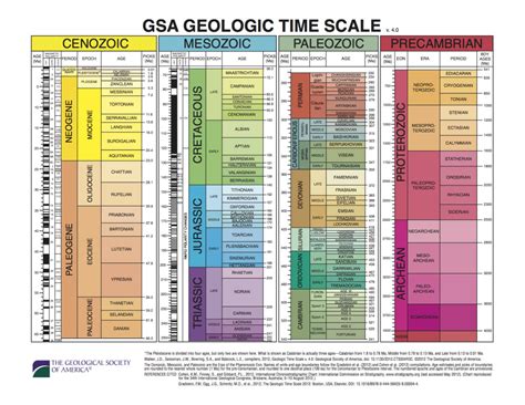 The Timescale - Past Time Paleo