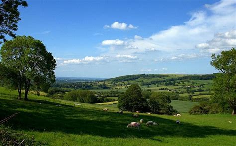 Cotswolds | Cotswolds tour, Cotswolds, Countryside