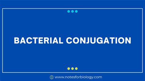 Bacterial Conjugation