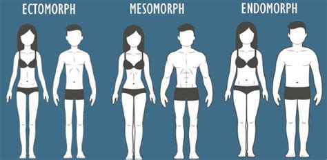 Body Type Quiz Male: What Is Your Body Type? Quiz | Attempts: 70314 - ProProfs Quiz