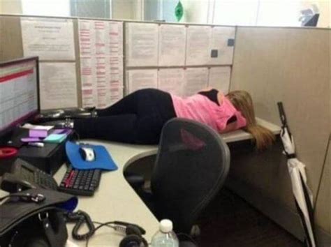 35 Hilarious Memes That Prove We Deserve to Nap in the Office ...