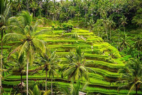 Travel Guide to Bali and its Beaches