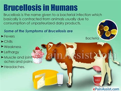 Brucellosis