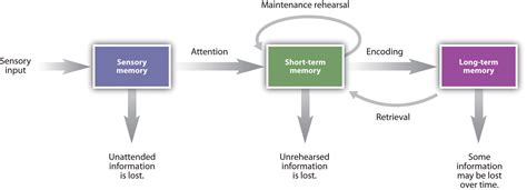 8.1 Memories as Types and Stages – Introduction to Psychology