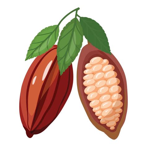 Cocoa fruit icon cartoon vector. Cacao bean 14152213 Vector Art at Vecteezy