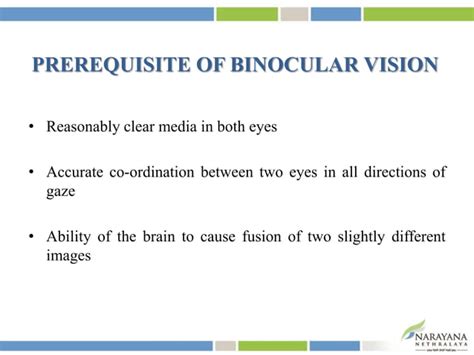 Binocular vision