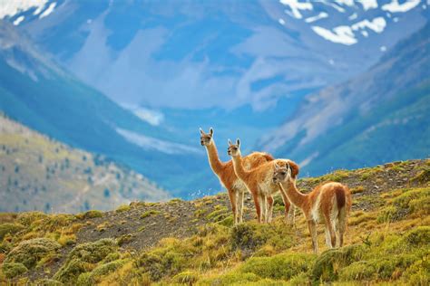 Lace Up and Go! Hiking in Patagonia - Destenaire