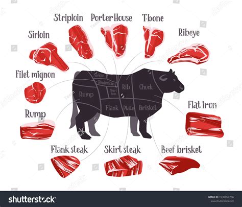 Steak Cuts Set Beef Cuts Chart Stock Vector (Royalty Free) 1930054706 ...