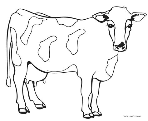 Free Printable Cow Coloring Pages For Kids | Cool2bKids