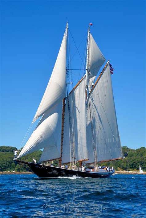 Schooner Columbia, Gloucester Schooner Festival 2015 5 - Squam Creative ...