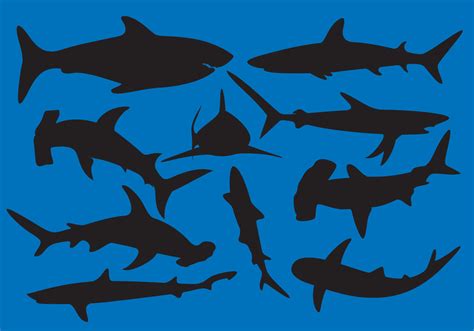 Shark Silhouette Vectors - Download Free Vector Art, Stock Graphics & Images