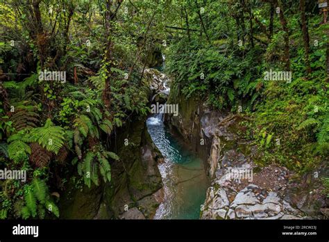 The beautiful Costa Rica Rainforest, waterfalls and blue river in the middle of the jungle Stock ...