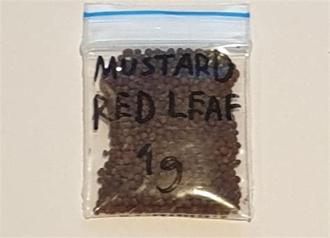 Organic Mustard Red Leaf - Local Seeds