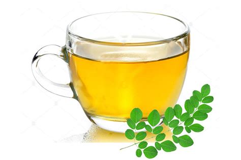 Moringa Herbal Tea - Etsy Israel