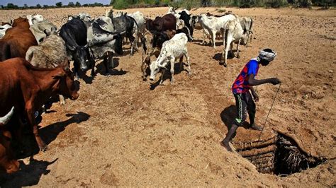 Nine killed in fighting in Sudan's Darfur - Al-Monitor: Independent ...