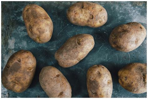 Classic Potato Salad — Braised & Burnt