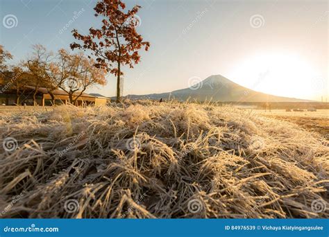 Mount Fuji Sunrise stock image. Image of majestic, dawn - 84976539