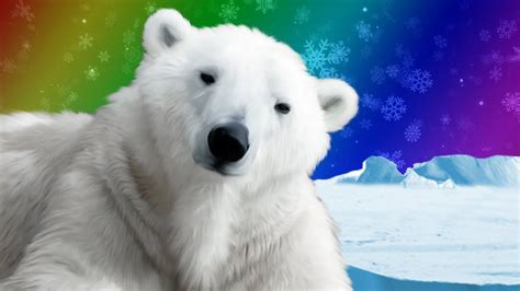 Polar Bears - Lessons - Blendspace