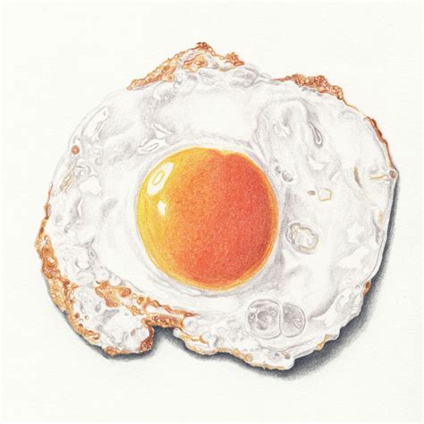 Fried Egg Breakfast Food Drawing by Artist John Gordon (2015, colored ...