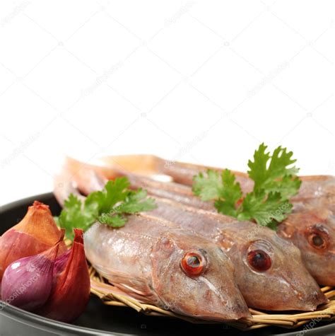 Red Gurnard Fish Stock Photo by ©jianghongyan 52422819