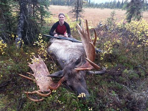 Unguided Moose Hunting in Alaska - Adventure Outfitters Alaska