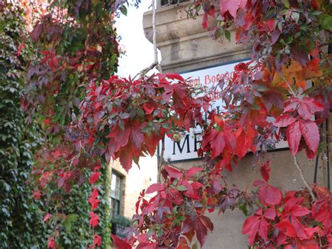 Autumn in London: 14 Best Things to Do - The London Eats List