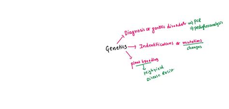 SOLVED: give examples of applications of genetics